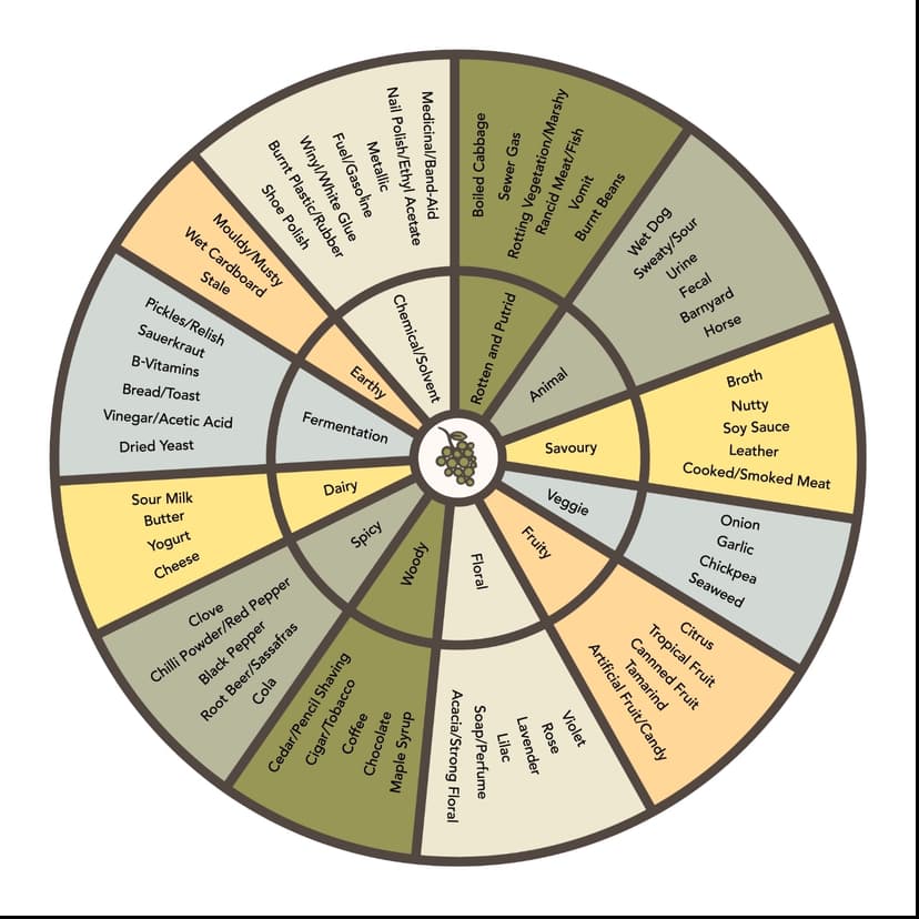 Brettanomyces Flavor Wheel